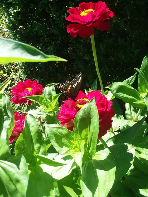 New York City Department of Parks and Recreation