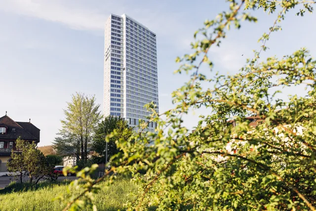 harry’s home hotel & apartments