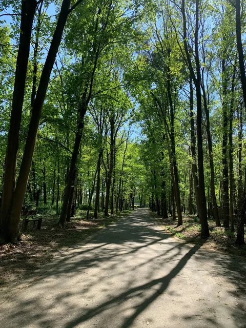 Recreatiepark De Krieckaert