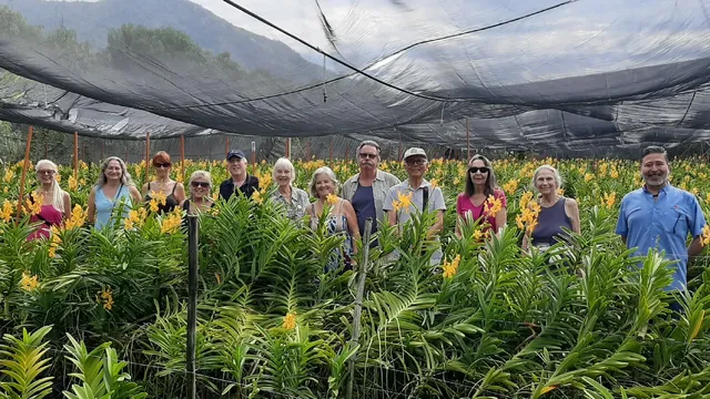 Flip Flop Nomad Tours