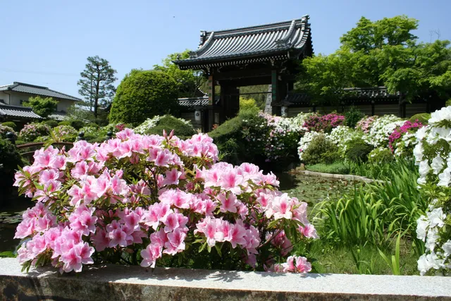 Myōman-ji Temple