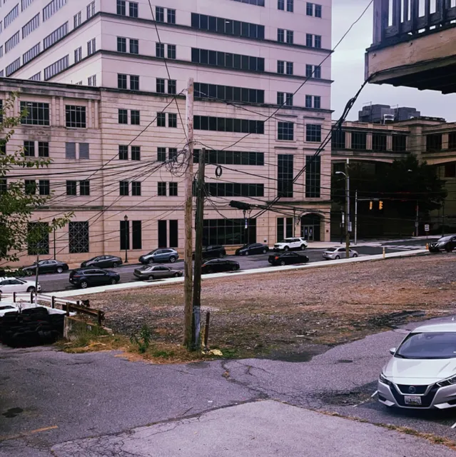 Restoring Natural Beauty