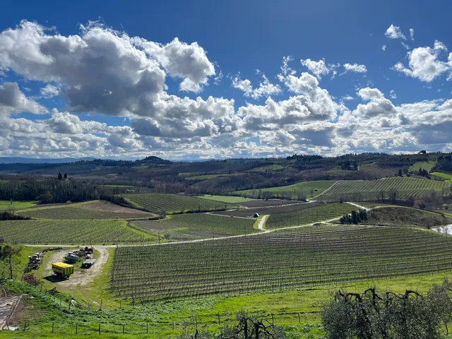 Fattoria Poggio Alloro