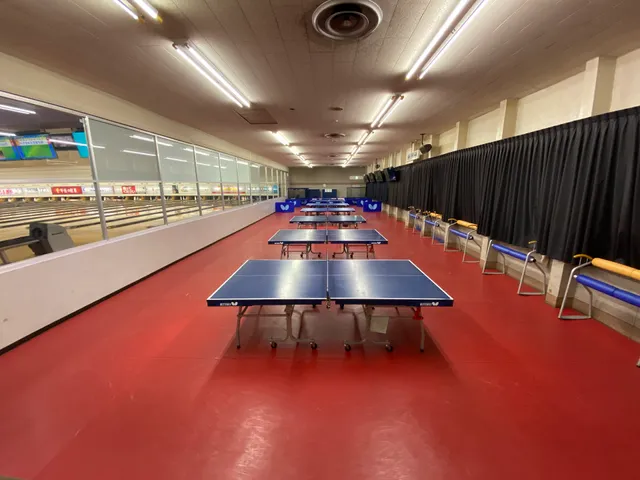 Y.Y LINK サンフラワーボウル店