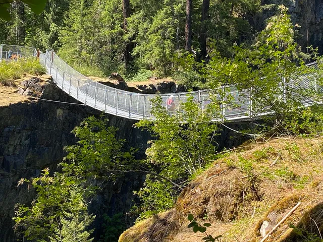 Elk Falls Suspension Bridge