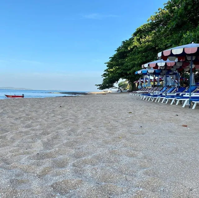 Dojo Pool Villa (Beach Front)