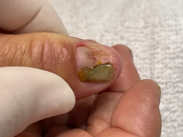 Crispé Podologia in Região Geográfica Imediata de Goiânia, Brazil ...
