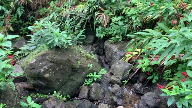 Let's Go Puerto Rico, LLC