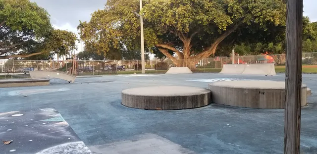 Skate Park at Frost Park