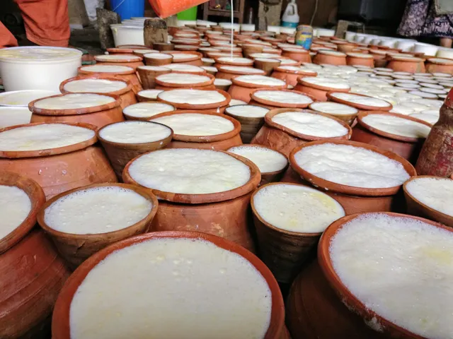 Jay Sambhu Bhaktapur Juju Dhau Centre (Dahi Kancha)