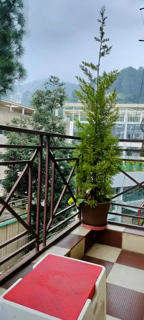 Shimla Vibes B & B