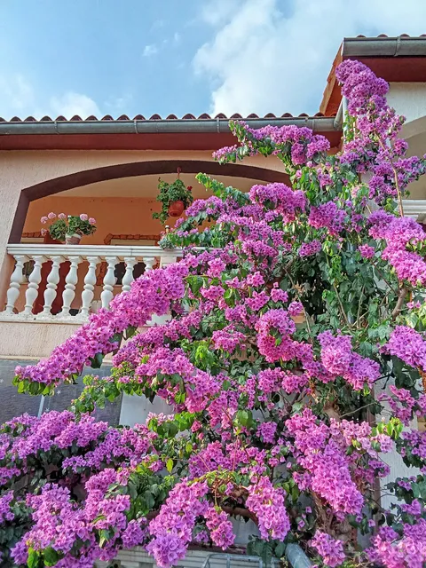 App Ivana barbiči 16 52446 NOVA VAS vabriga