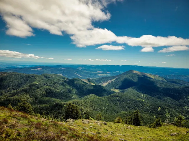Marys Peak Botanical Special Interest Area