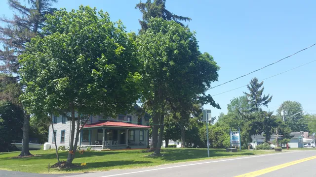 Four C's Marina and Lodging