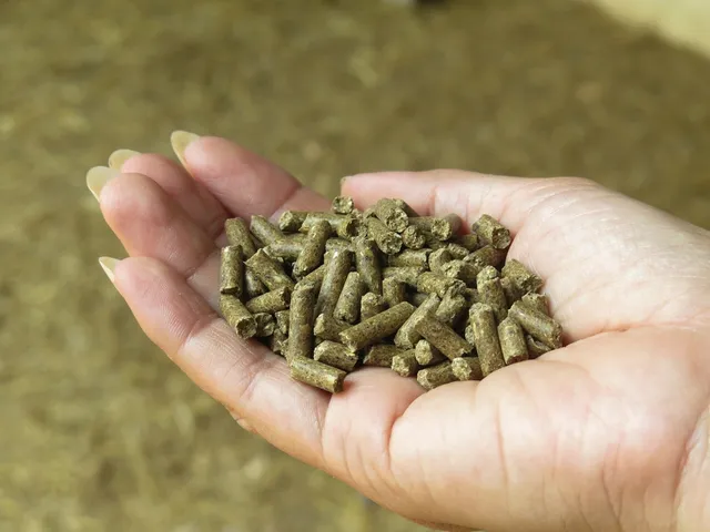 Choctaw Farmers Co-Op