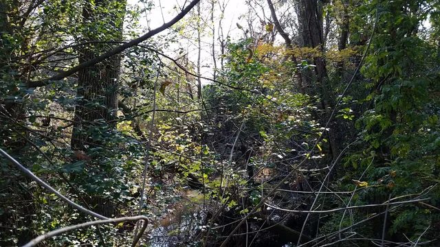 Pearl Mill Nature Preserve