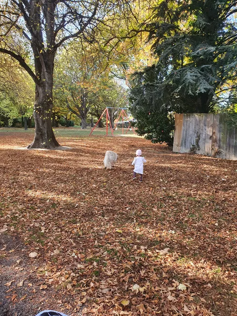 St James Park Playground