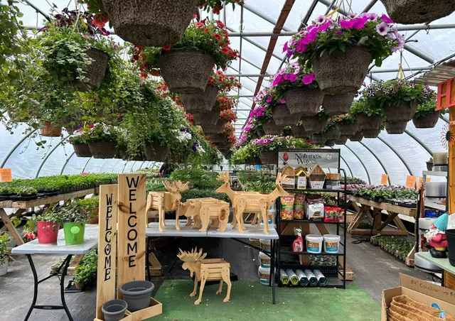 Corals Corner & Cones