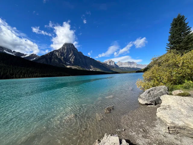 Waterfowl Lake Viewpoint