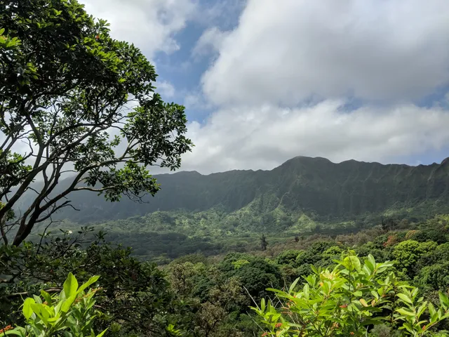 Maunawili Falls via Maunawili Demonstration Trail