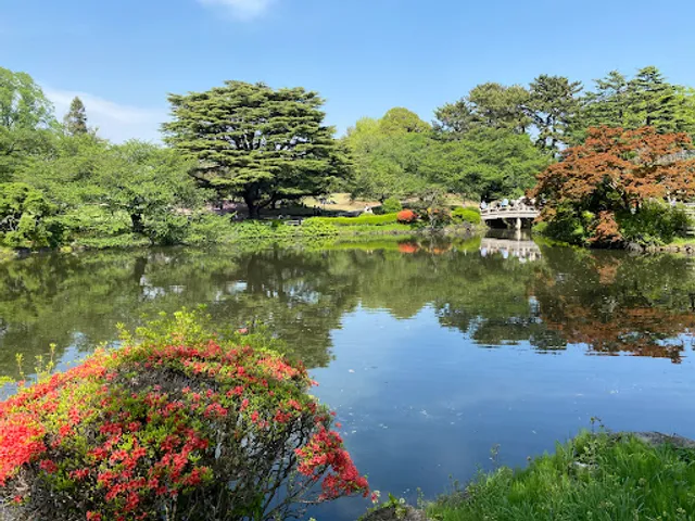Mother and Child Woods