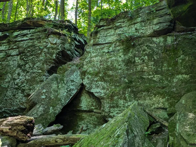 Cleveland Metroparks Hinckley Reservation