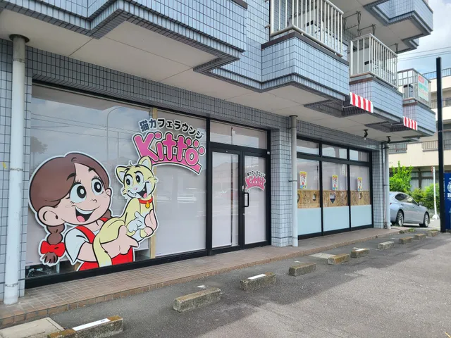 Cat Cafe Lounge Kitto