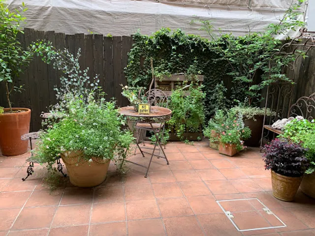 Cafe haru sakura okamoto