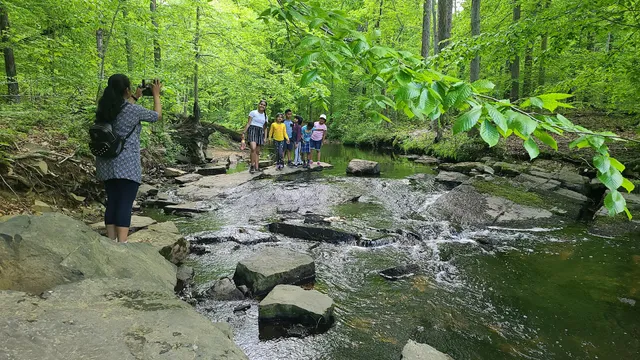 Ireland Brook Conservation Area