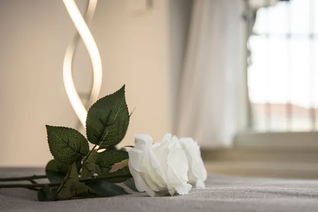 Camelot Appartamenti - Business & Holiday