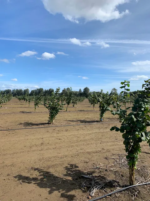 Valley Agronomics | Harrisburg