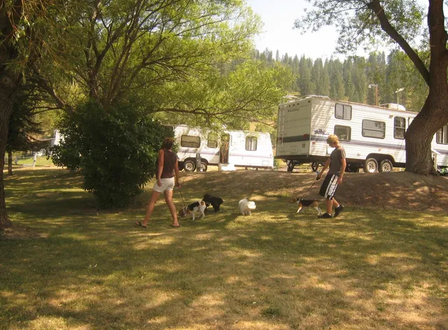 Willow Bay RV Resort & Marina