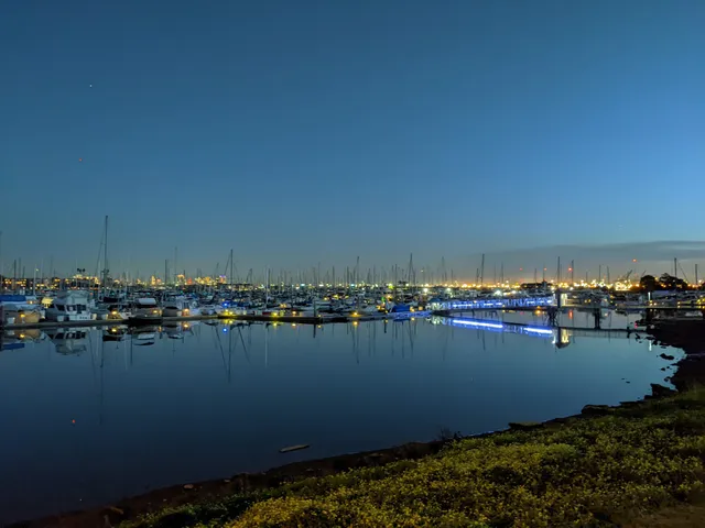Walking Trail Surrounded by the Water