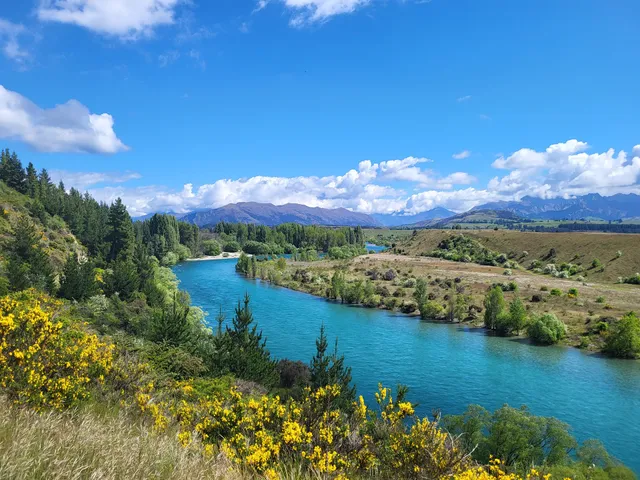 Upper Clutha River Track