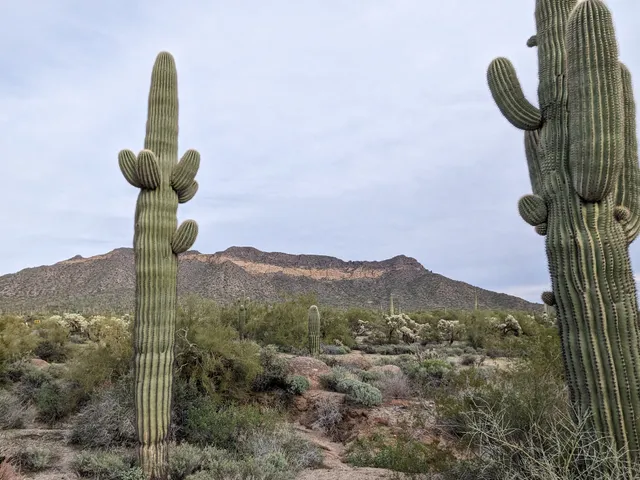 Buckhorn Family Campground