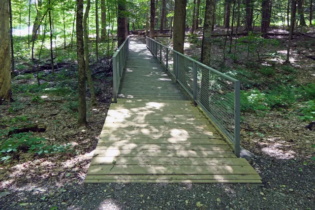 Williamstown Art Conservation at The Lunder Center at Stone Hill