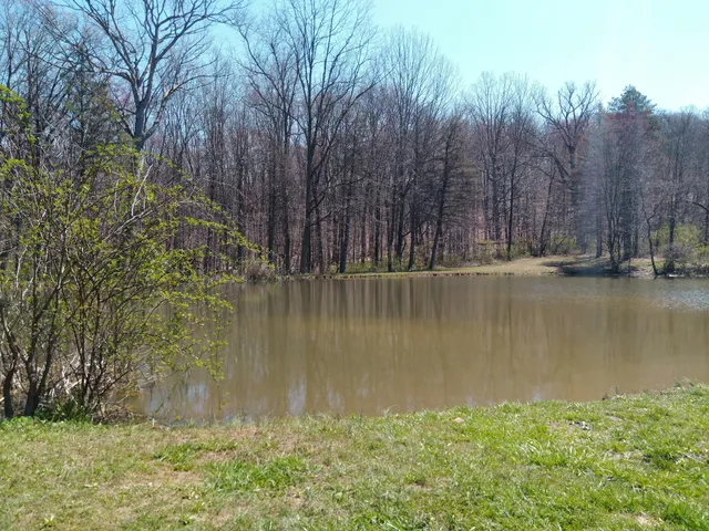 Dealaman Nature Trail and Pond