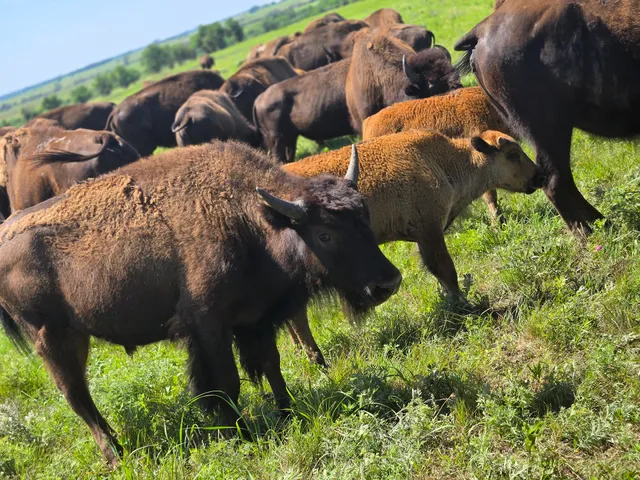 Maxwell Wildlife Refuge