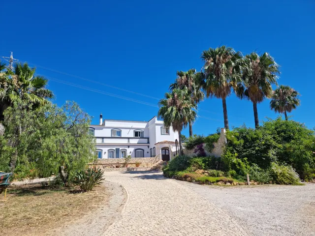 The Lemon Tree Villa