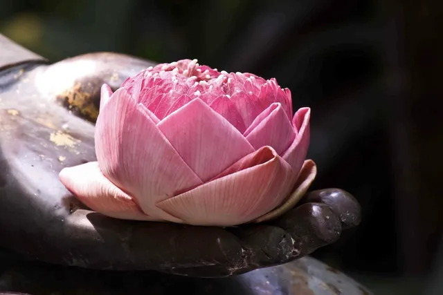 Banyan Tree Massage Therapy