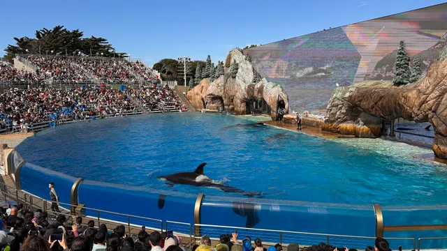 SeaWorld San Diego