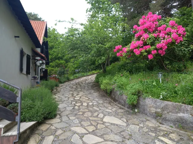 B&B Le Camelie del Bosco