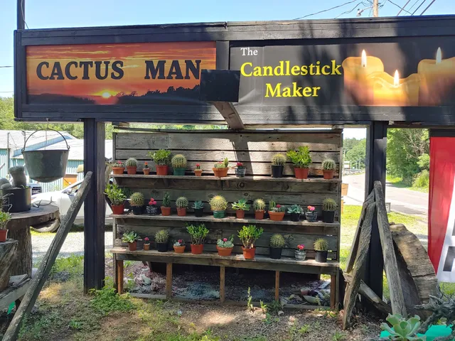 Cactus man