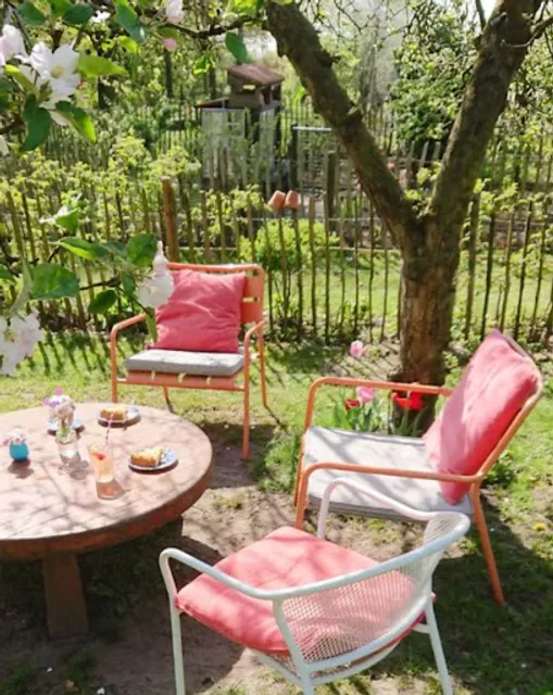 Theetuin De Wilde Framboos