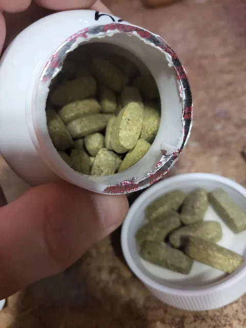 Survival Enterprises