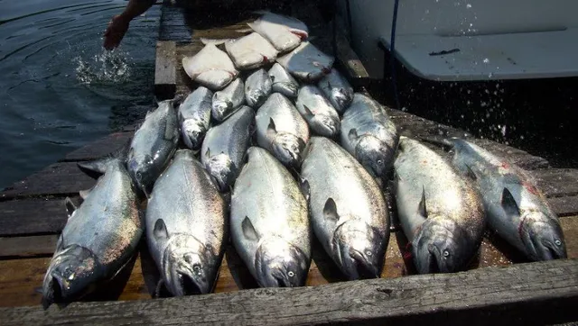 Pacific Rim Fishing Charters & Guest Lodge