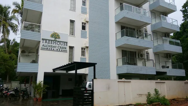 Collection O 30082 Baga Alchemy Creek