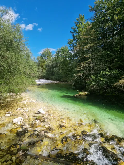 Apartmajska hiša ob Savici - PAC Sport Bohinj
