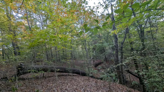 Creech Road Elementary School Park