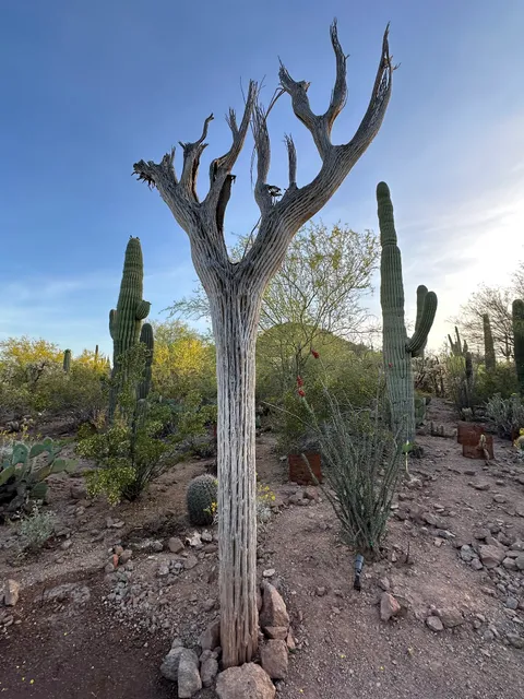 Desert Botanical Garden: Corporate Event and Group Sales